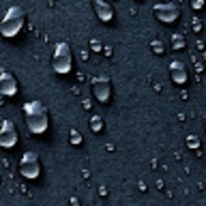 Meet your Posher, Susannah